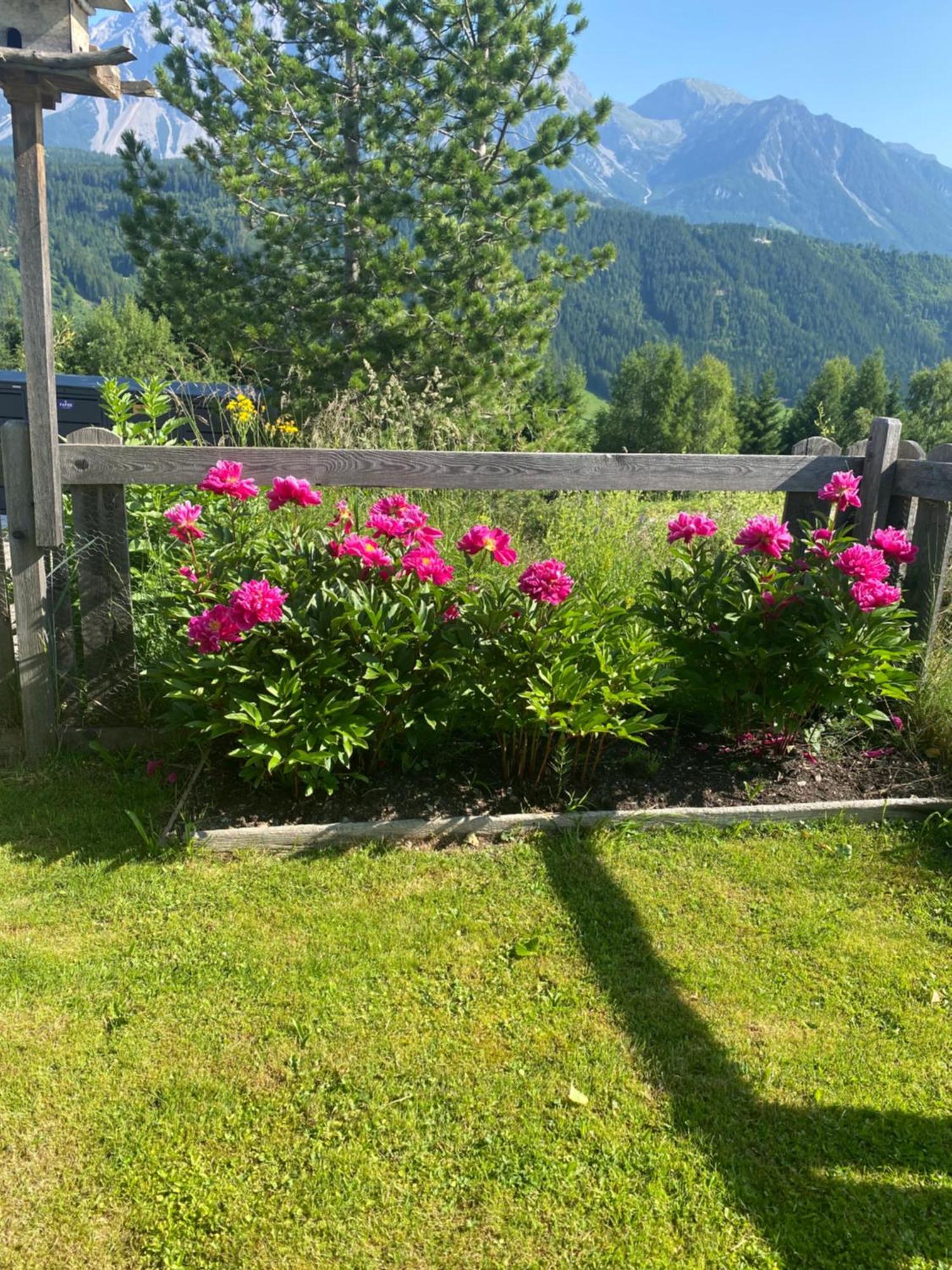 Trinker Schladming